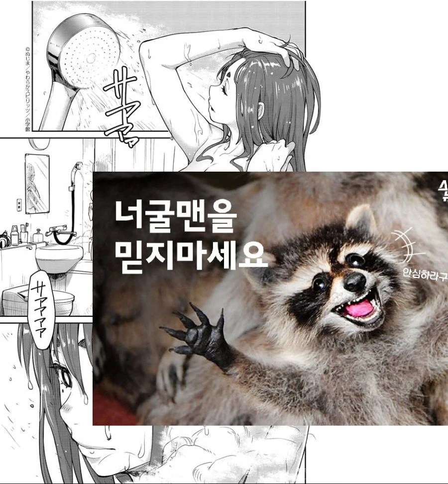 manga_1162482_022_58e405637cce.webp