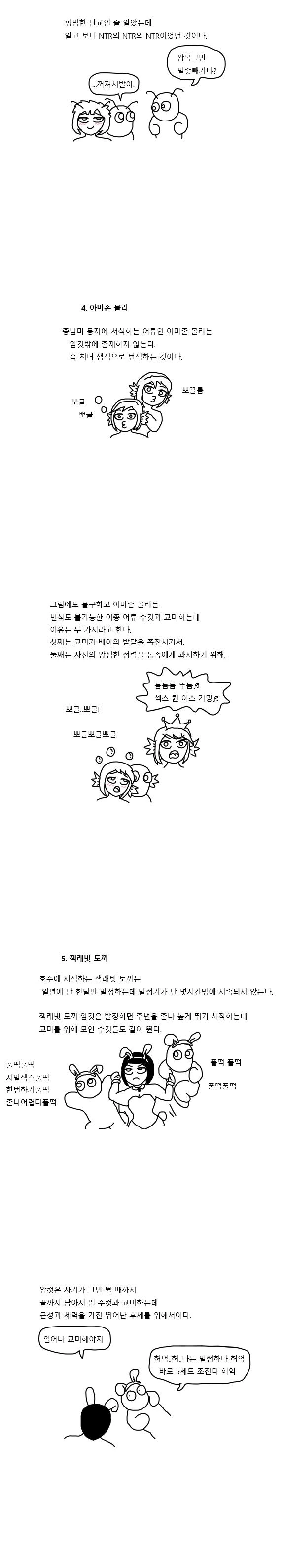 manga_1322804_003_a9ff8682eb77.webp