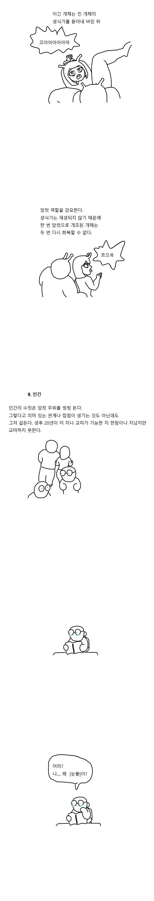 manga_1322804_005_4db3fba688bd.webp