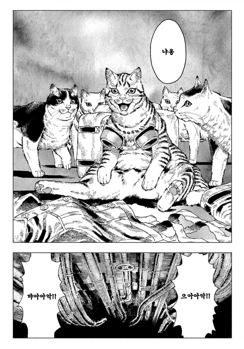 manga_1434245_006_5517af0988f9.webp
