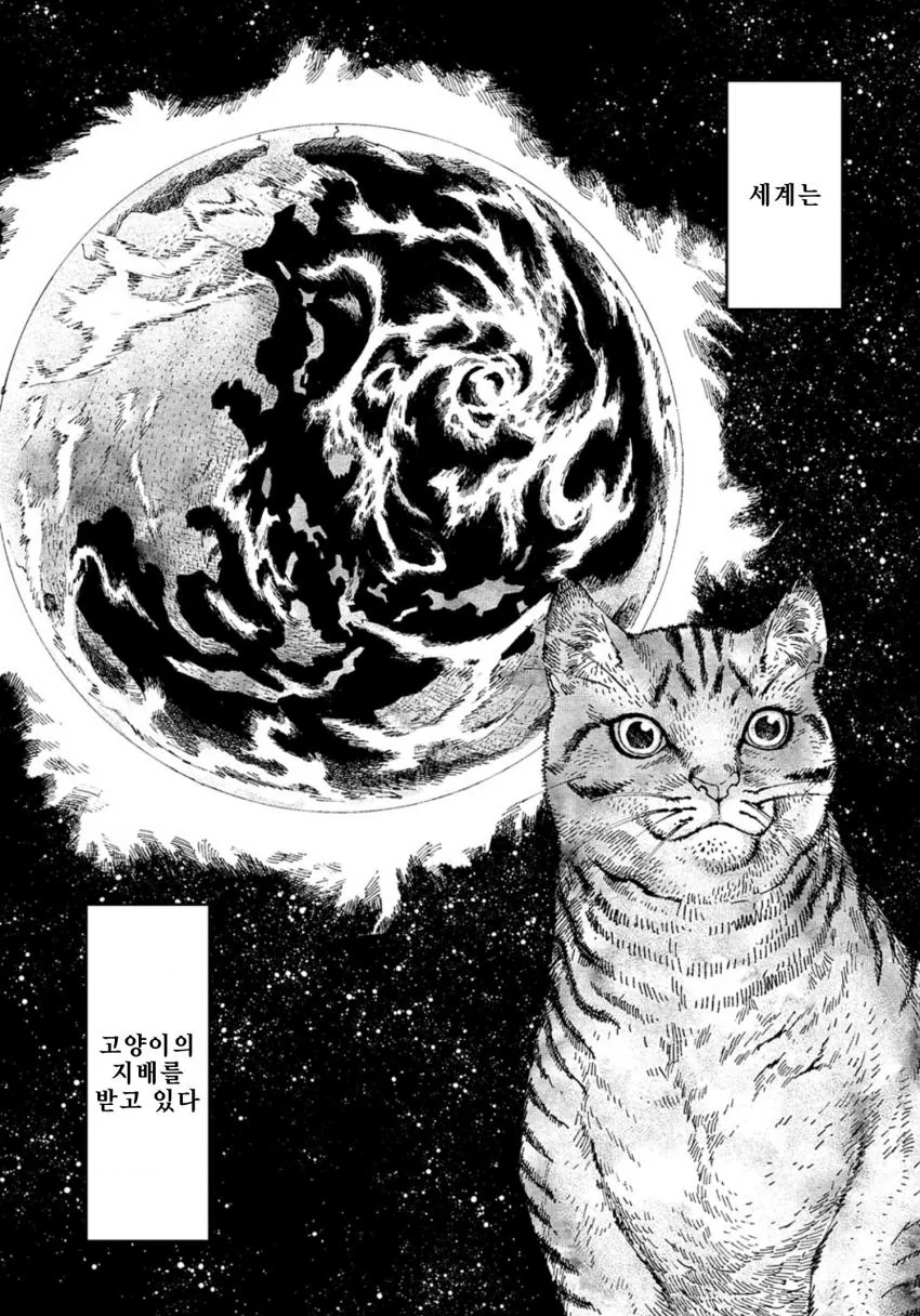 manga_1434245_007_31300dd05d97.webp