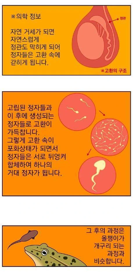 manga_2107669_002_4c34cfc44f99.webp
