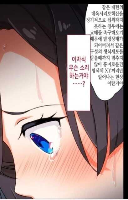 manga_2716503_003_01937fbf5fbd.webp