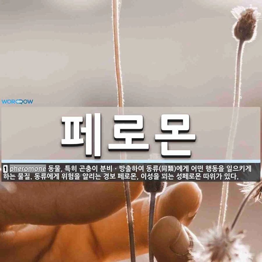 암컷이 되는 manwha 이미지 10