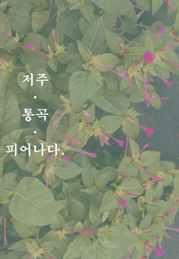 순애 manga 모음 이미지 2