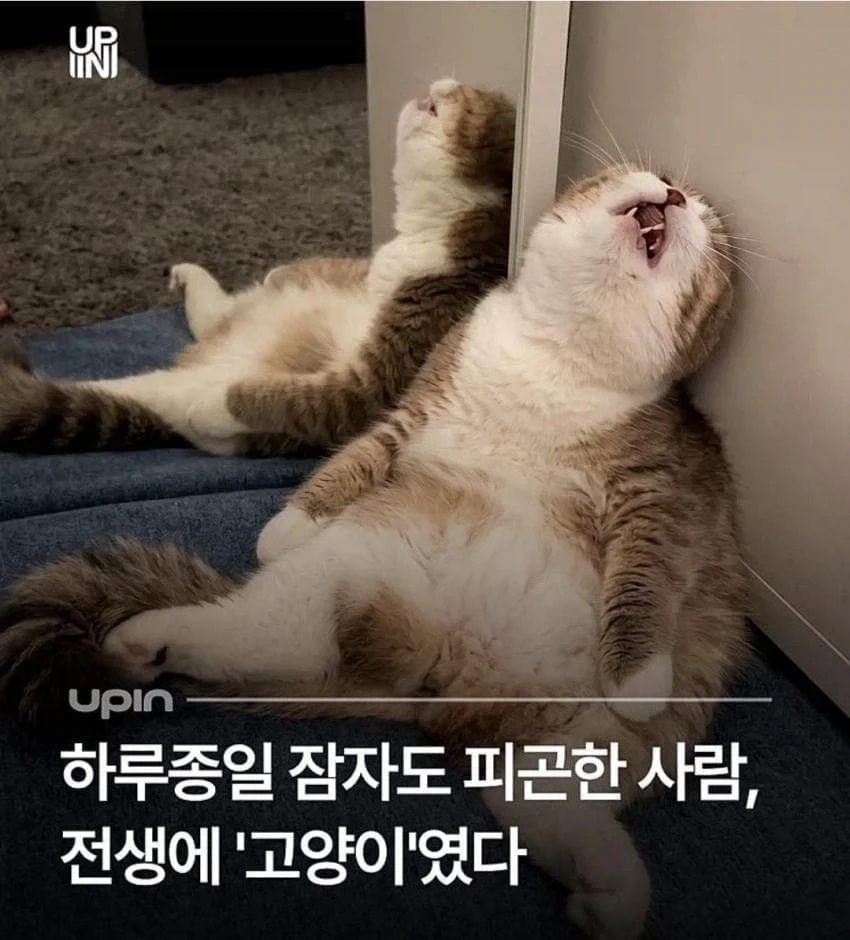 건담) 어떻게 세계 ㅆㅊ나는데 걸린시간이 이미지 3