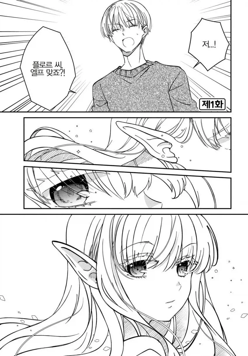 하이엘프 여왕과 공주가 성범죄자를 응징한다.라는 내용의 만화 이미지 2
