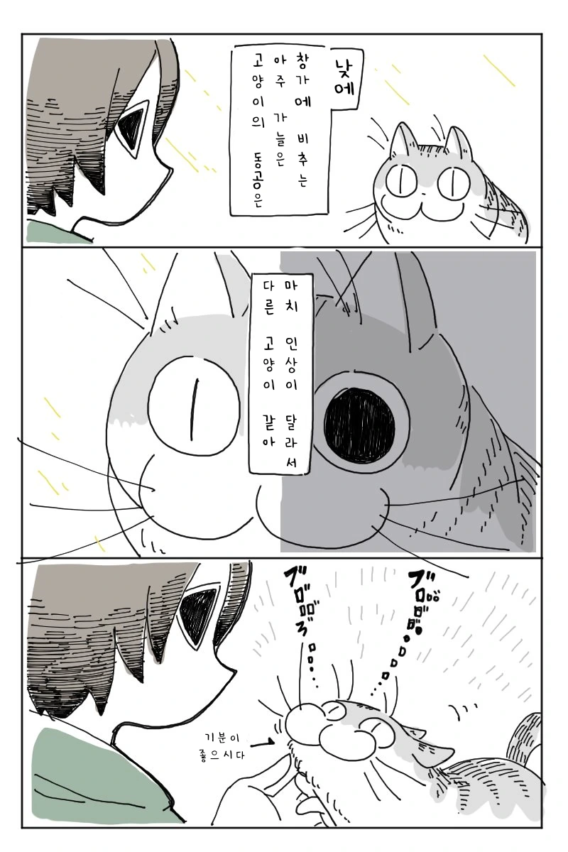 manga_1792911_002_3c3ef96f4091.webp