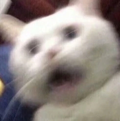 76f1d9e1c939302cd44bc1ad571f267888413da71502c004f4d2342695cf135f.jpg