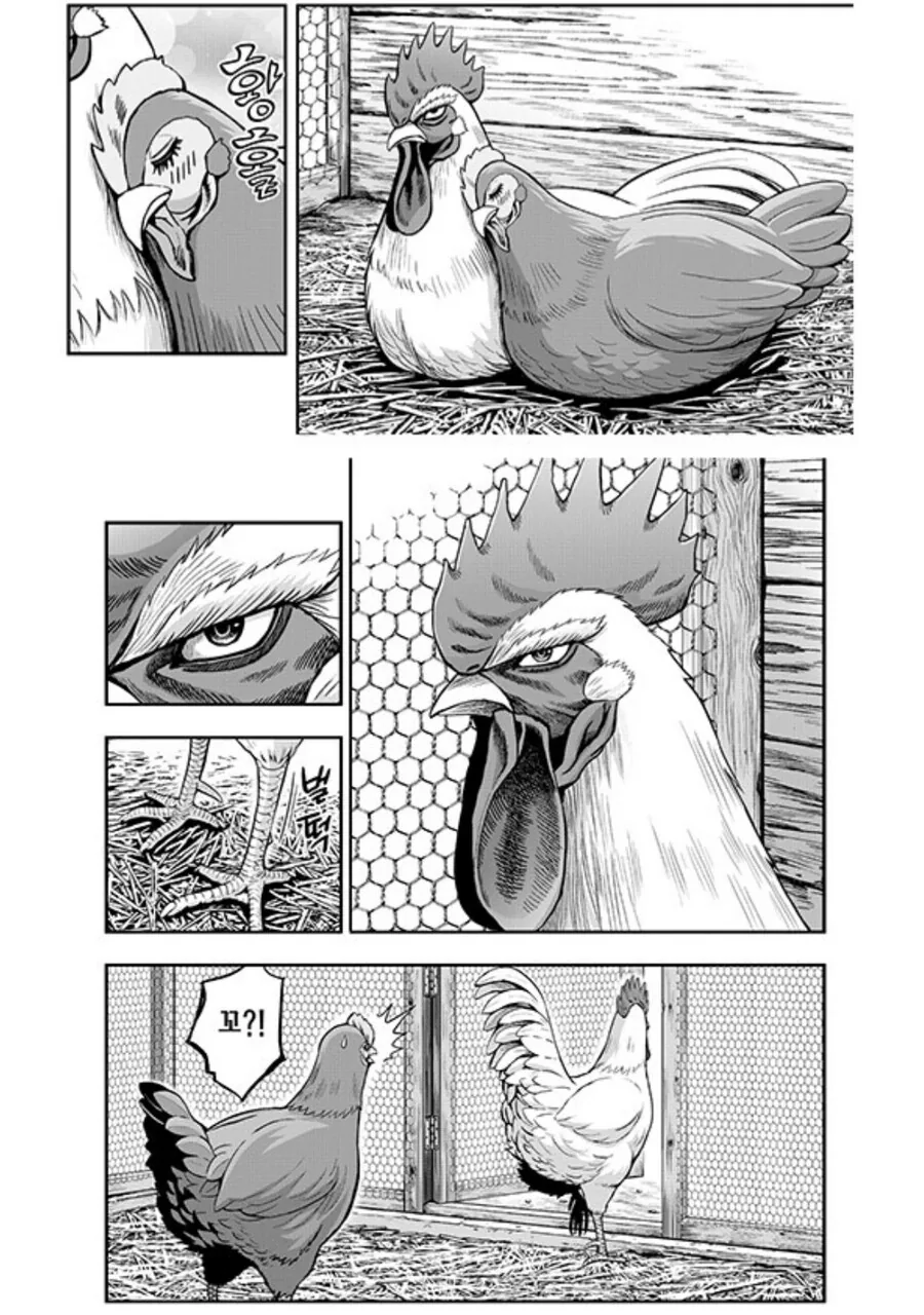 manga_2695436_003_36b4aa637603.webp