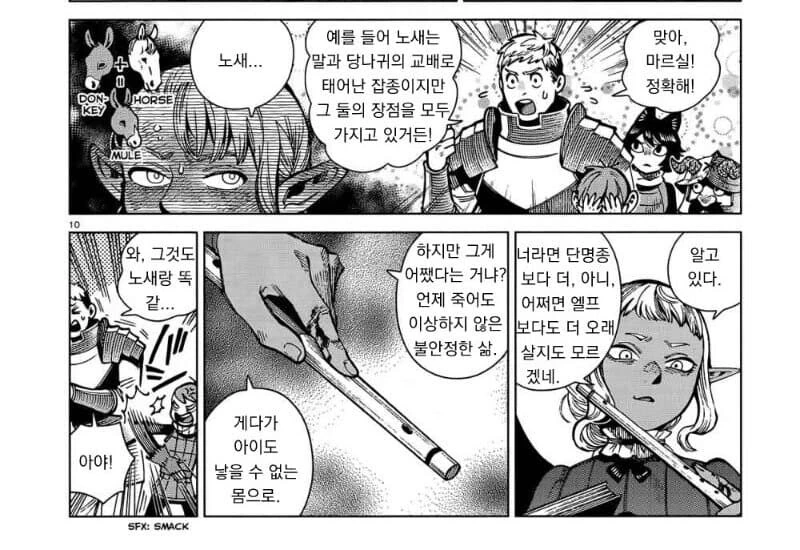 던전밥) 드디어 2기 최신 정보 발표 예정 이미지 22