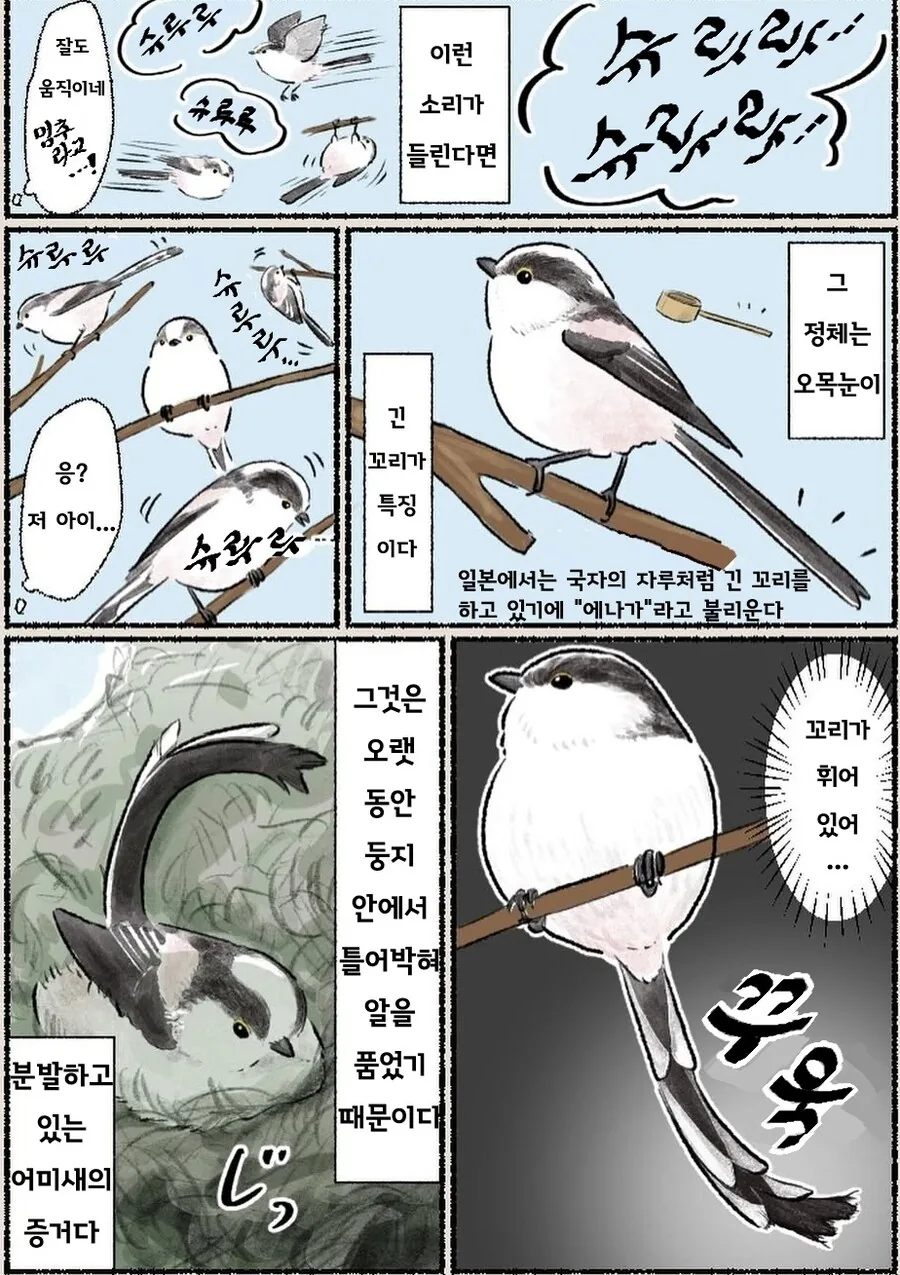 전체 477 페이지 | ToonPop 이미지 9