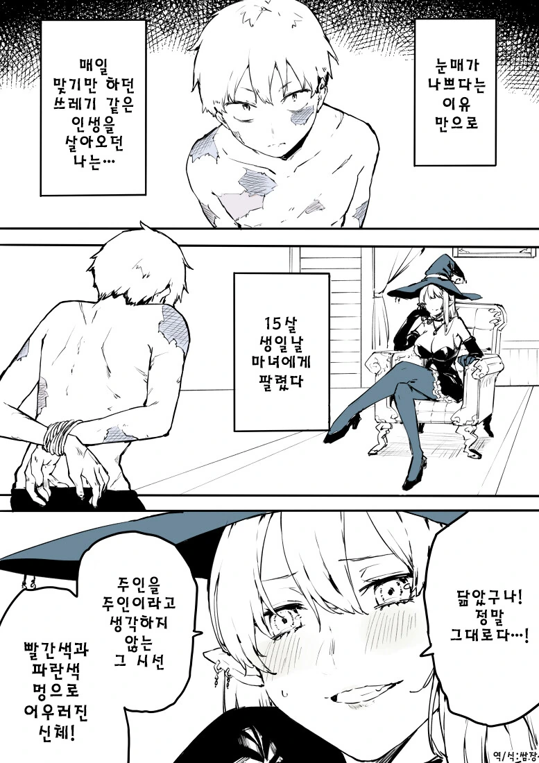 고양이를 해치지 않는 나라 이미지 4