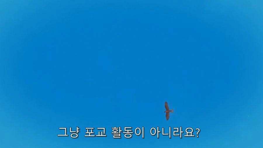 1_00008.jpg
