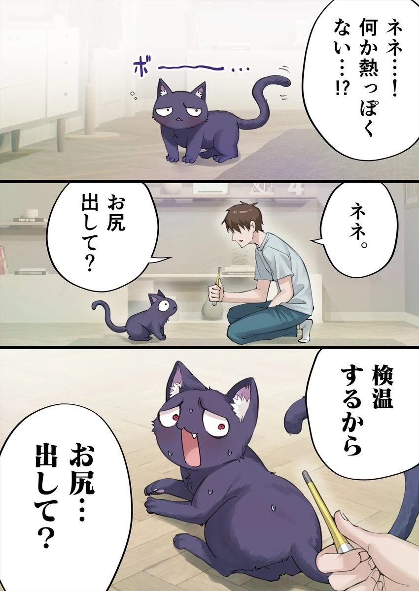 너무 멋진 고양이 신령님 만화 이미지 6