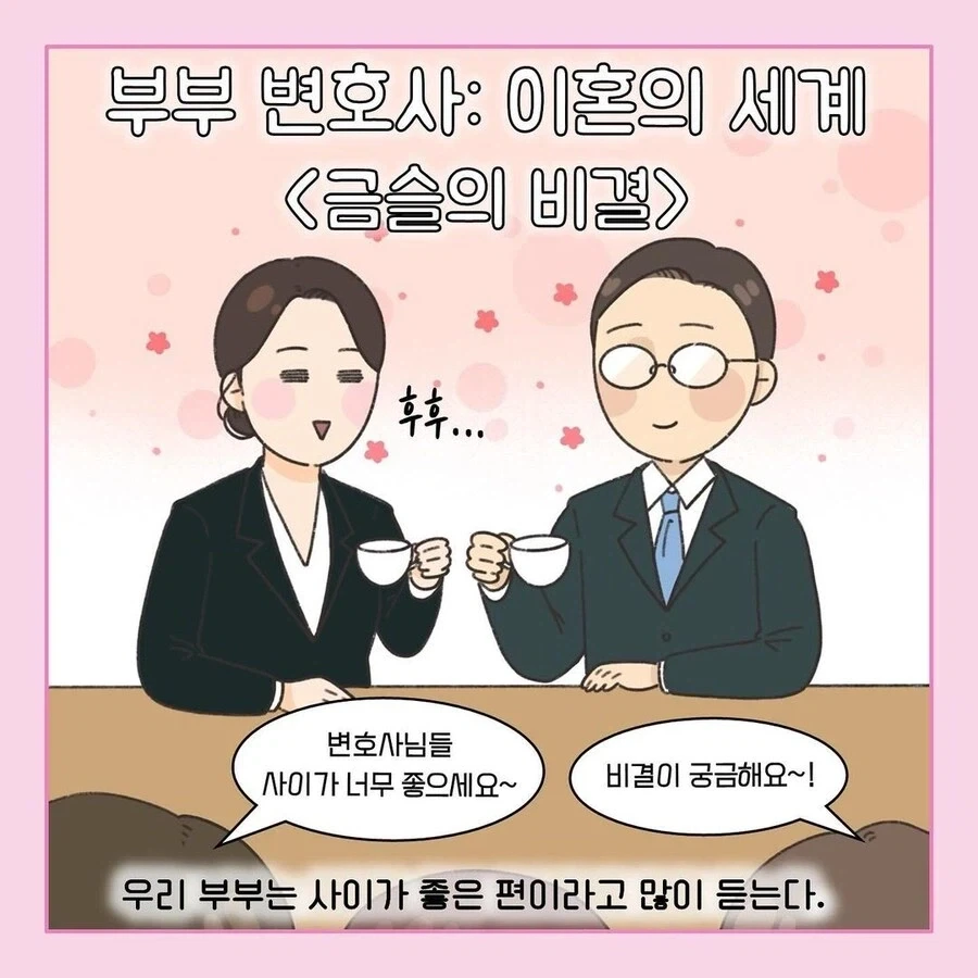 이혼전문 변호사의 고충 만화 이미지 13