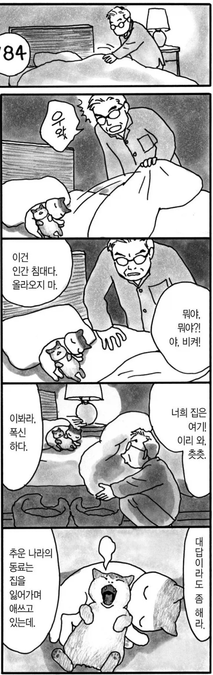 조금 수상한 고양이 메이드 만화 이미지 12