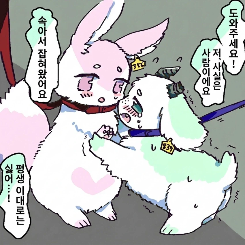 약피폐) 인권이 없어진.manhwa - 이미지 4
