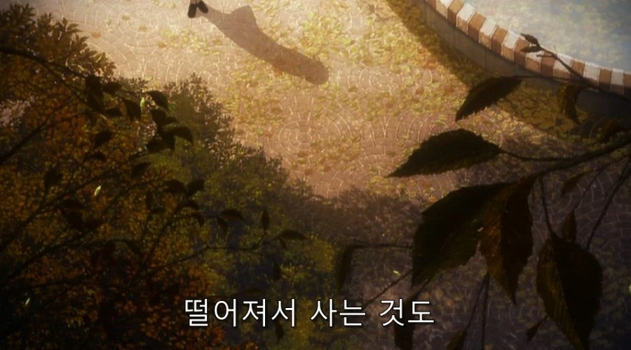 공의경계) 친오빠를 진심으로 사랑한 여동생 - 이미지 14