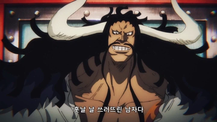 원피스) 현실과 타협한 카이도 - 이미지 53