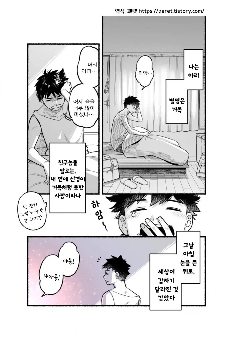 1세대 포켓몬의 모순.manhwa 이미지 2