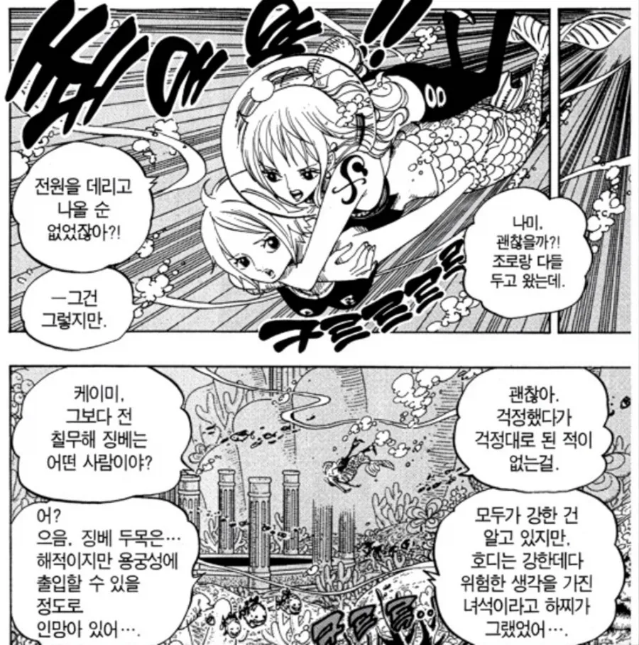 원피스) 무모함에 완전히 적응해버린 항해사 - 이미지 4