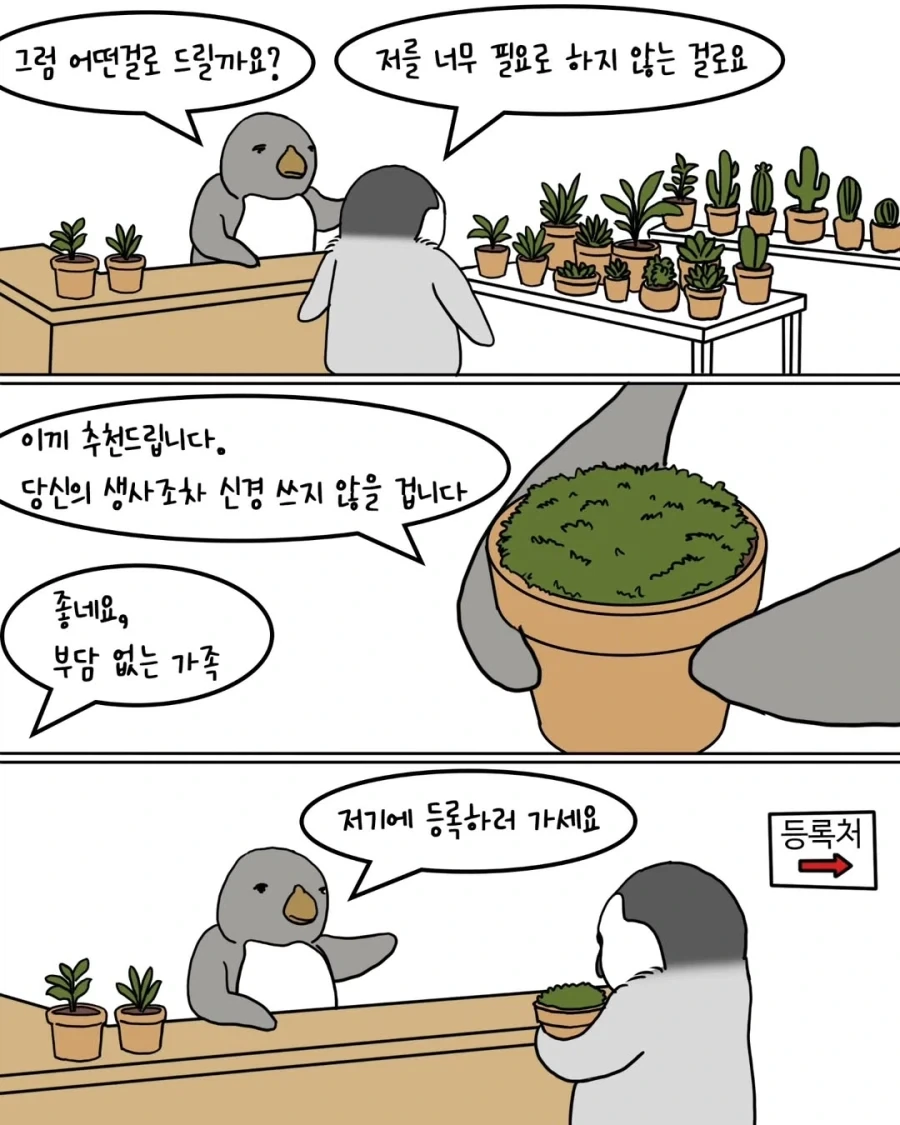 펭귄들이 반려식물 분양받는 만화.manwha - 이미지 2