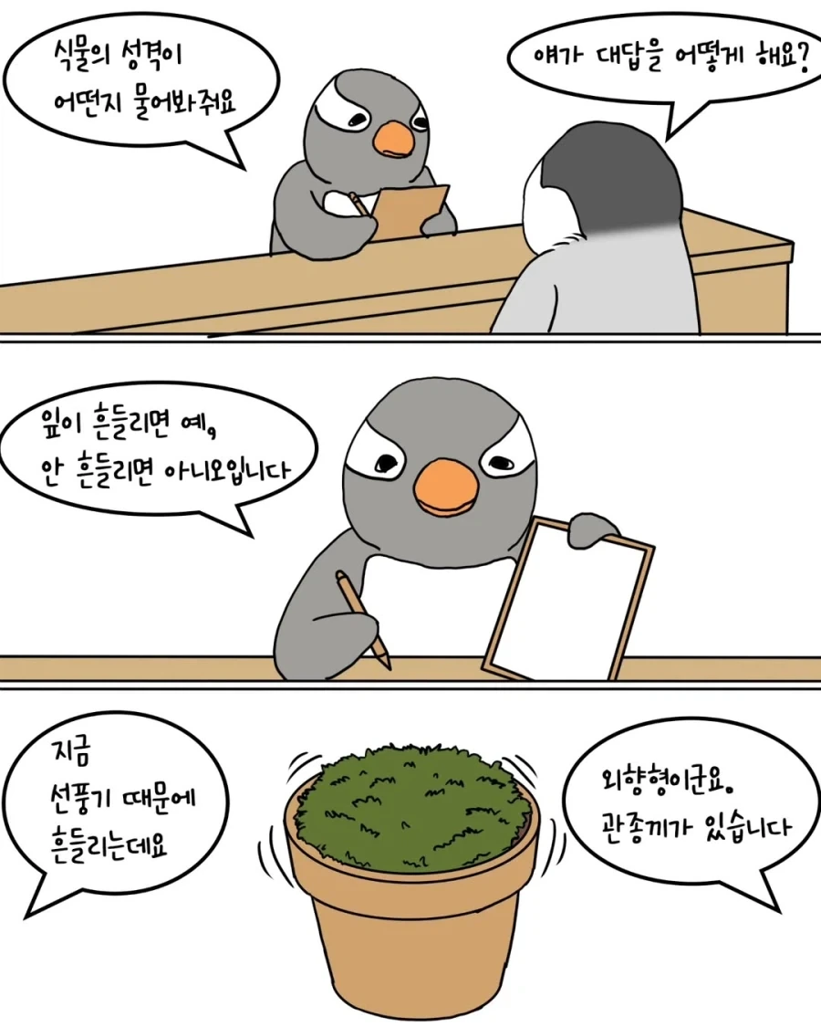 펭귄들이 반려식물 분양받는 만화.manwha - 이미지 3