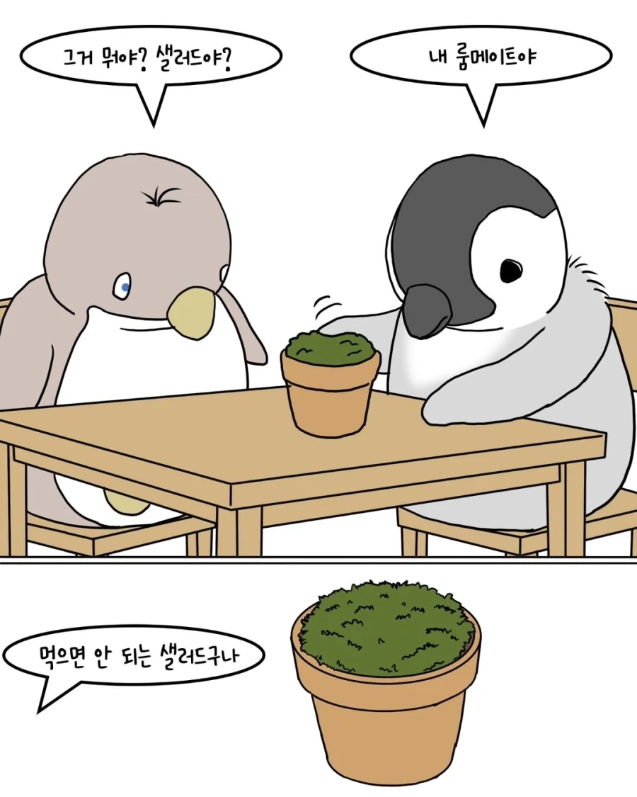 펭귄들이 반려식물 분양받는 만화.manwha - 이미지 5
