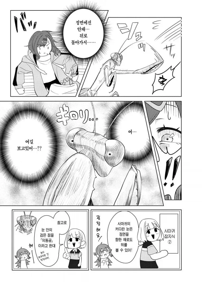 @) 히구치 마도카 vs 사마귀.manga - 이미지 7