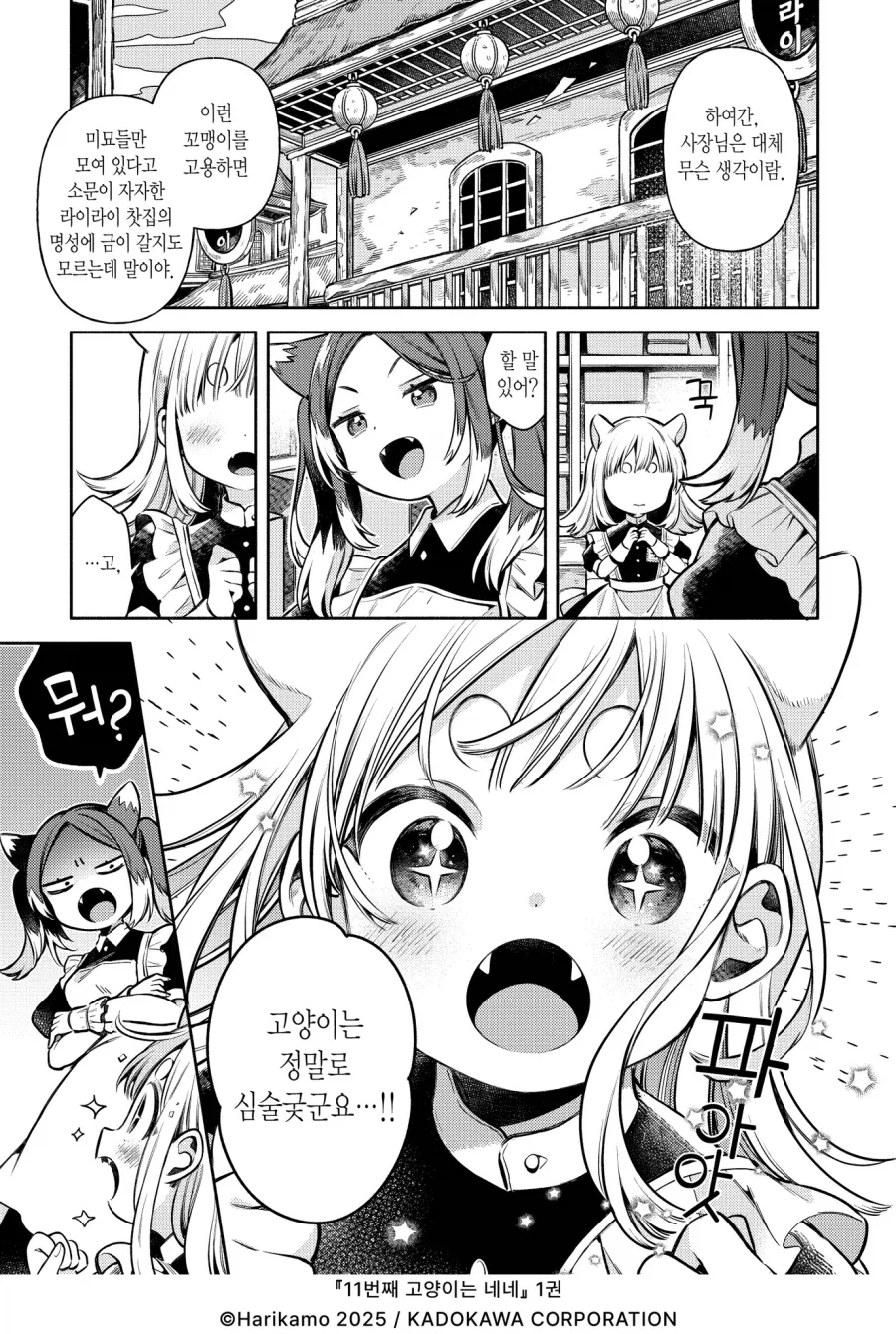고양이를 동경하게 된 쥐순이.manhwa - 이미지 3