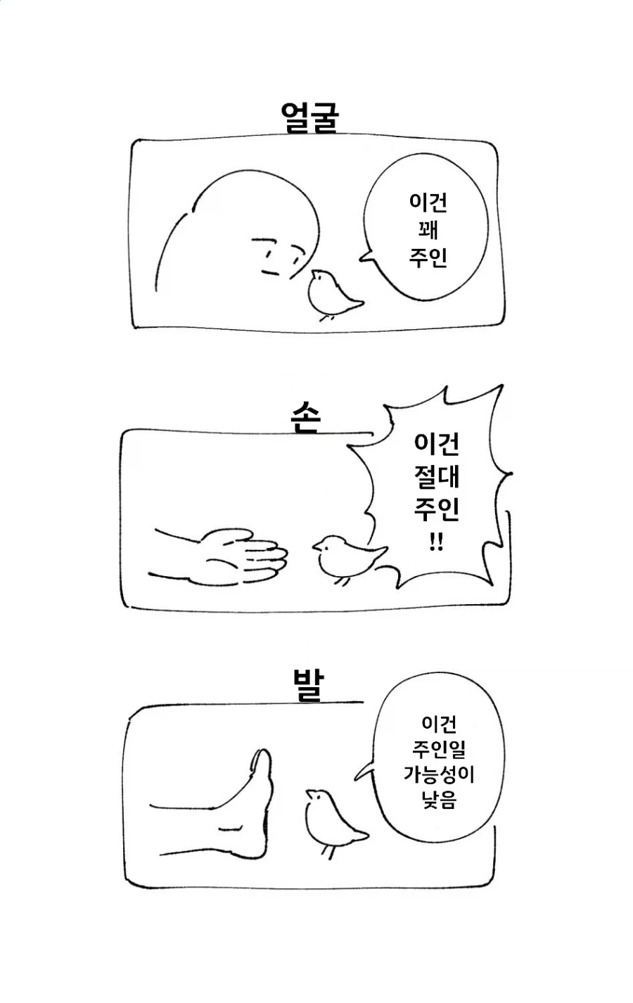 주인이 너무 거대한 새 . 만화 - 이미지 2