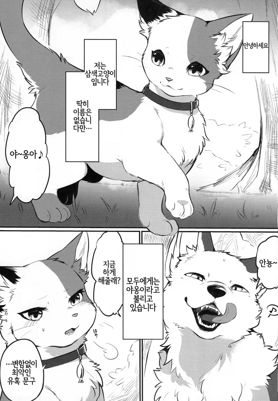 남편이 조금 수상한 만화 이미지 2
