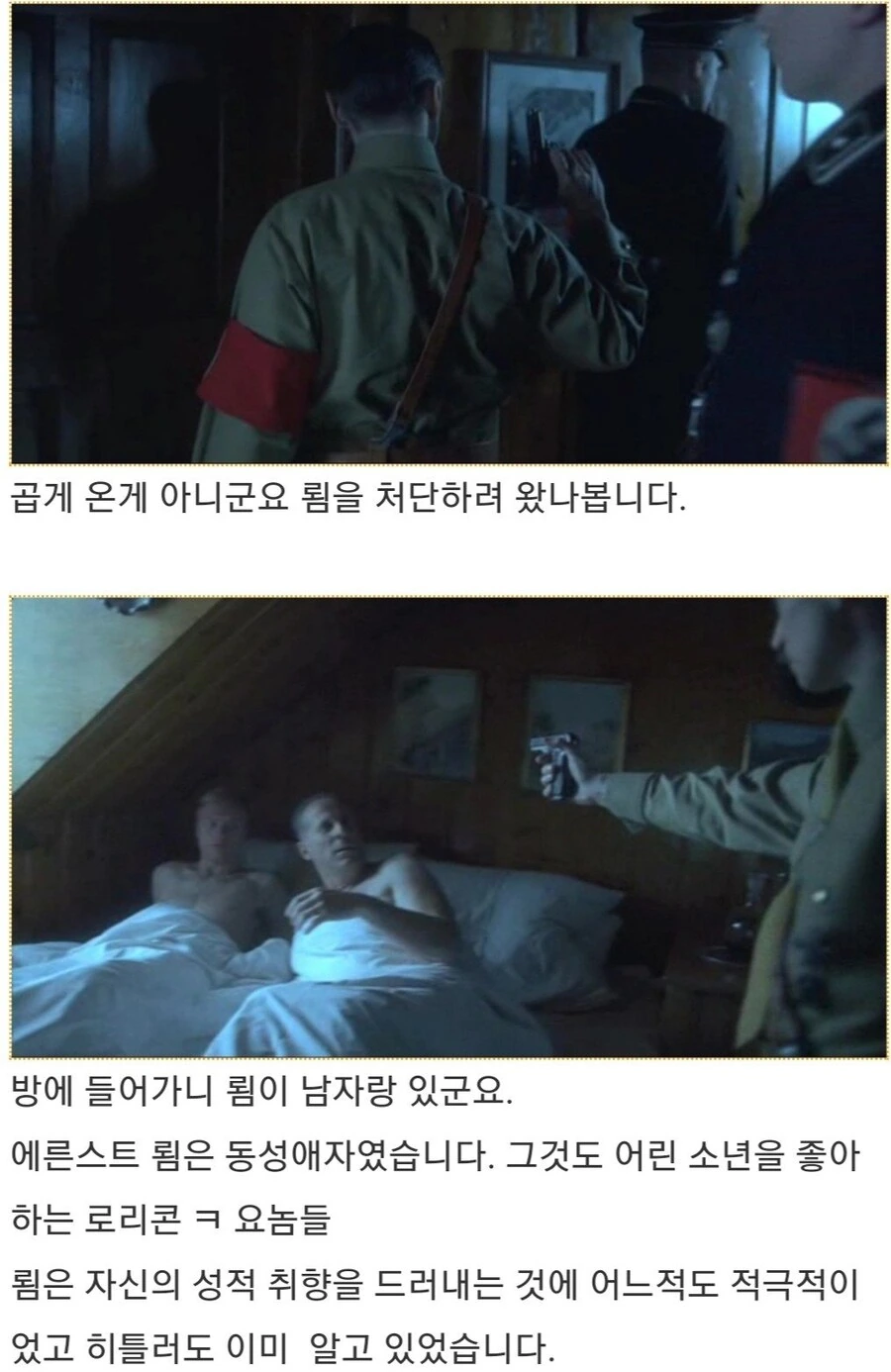 히틀러악의탄생) 빨리 승낙해줘,튀게 - 이미지 9