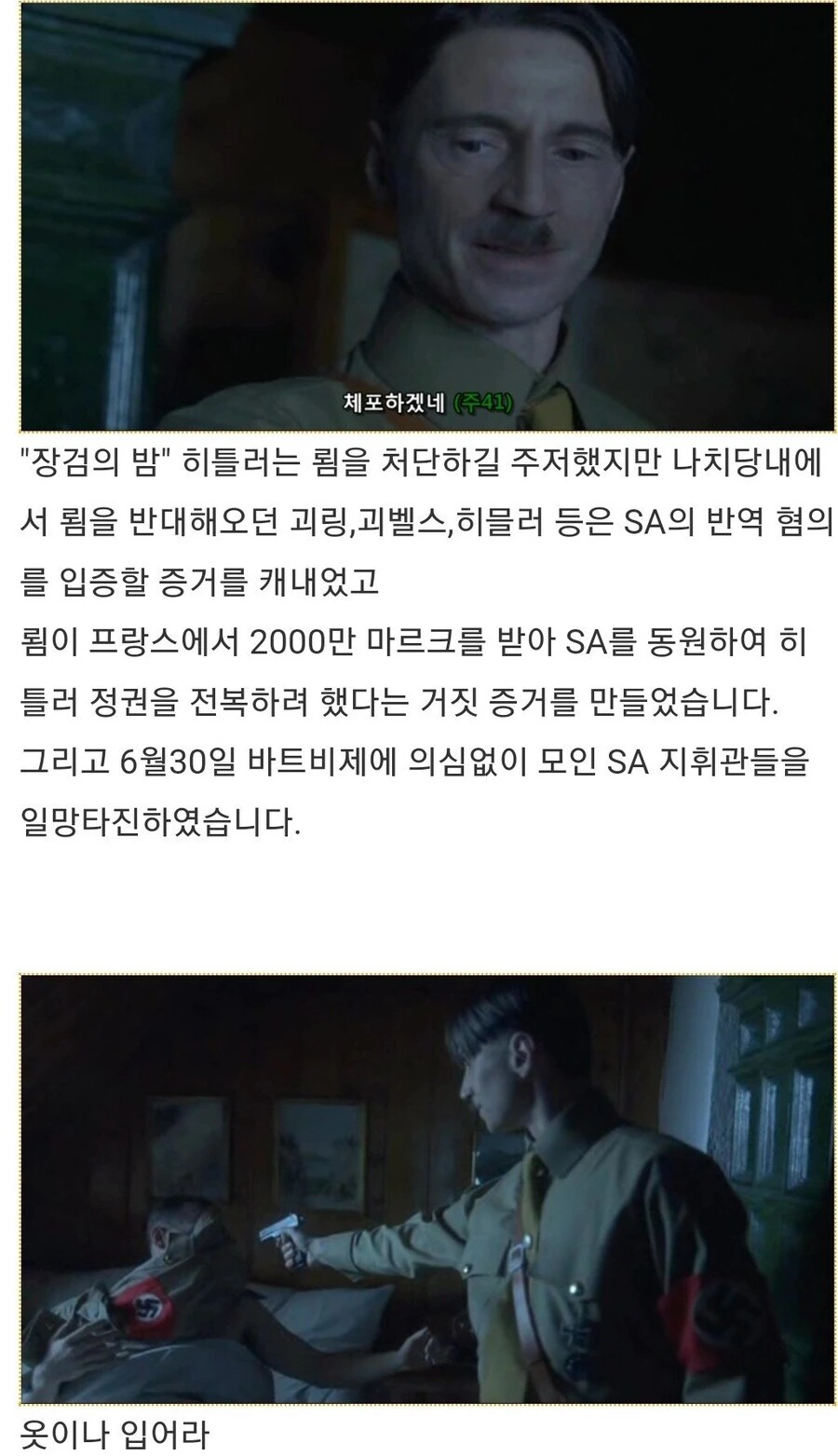 히틀러악의탄생) 빨리 승낙해줘,튀게 - 이미지 10