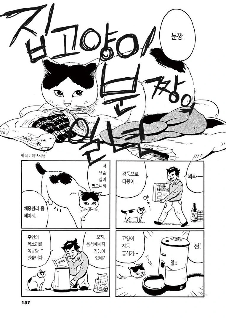 1세대 포켓몬의 모순.manhwa 이미지 3