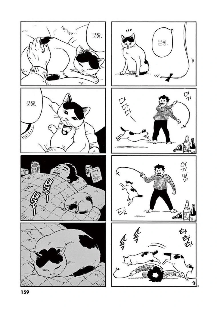 집고양이 분짱의 일년.manga - 이미지 3