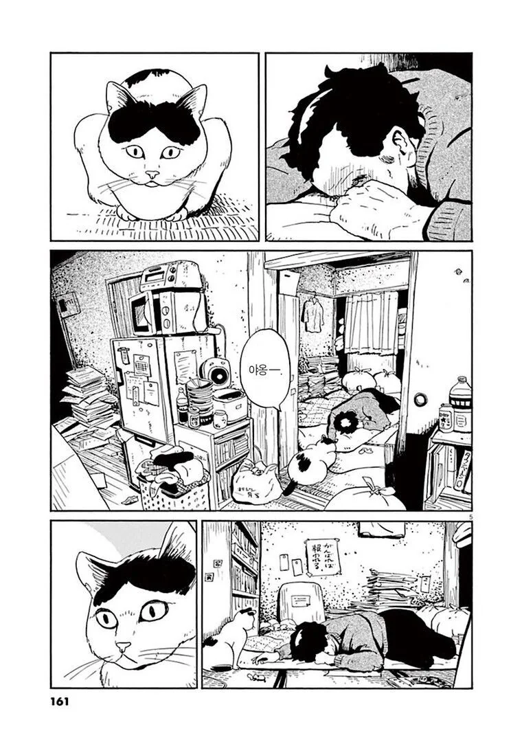 집고양이 분짱의 일년.manga - 이미지 5