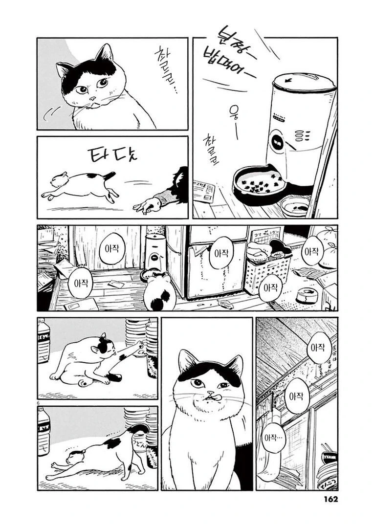 집고양이 분짱의 일년.manga - 이미지 6
