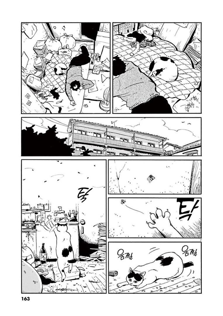 집고양이 분짱의 일년.manga - 이미지 7