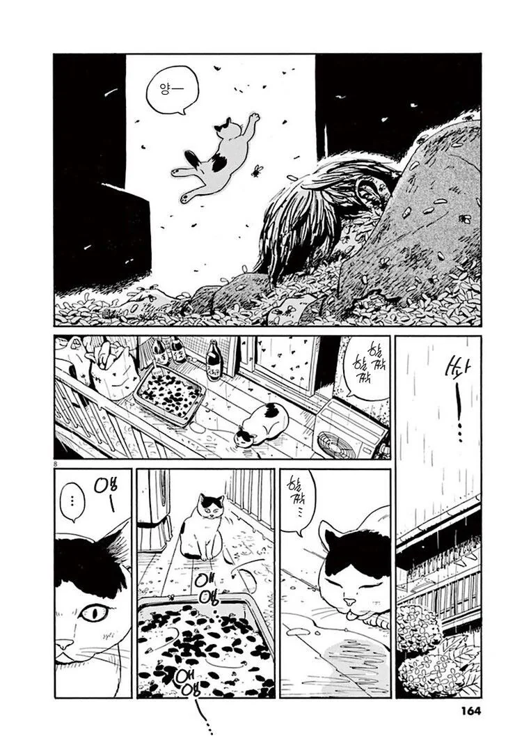 집고양이 분짱의 일년.manga - 이미지 8