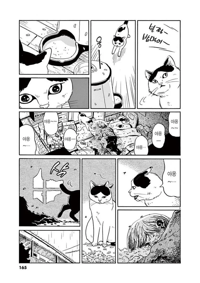 집고양이 분짱의 일년.manga - 이미지 9