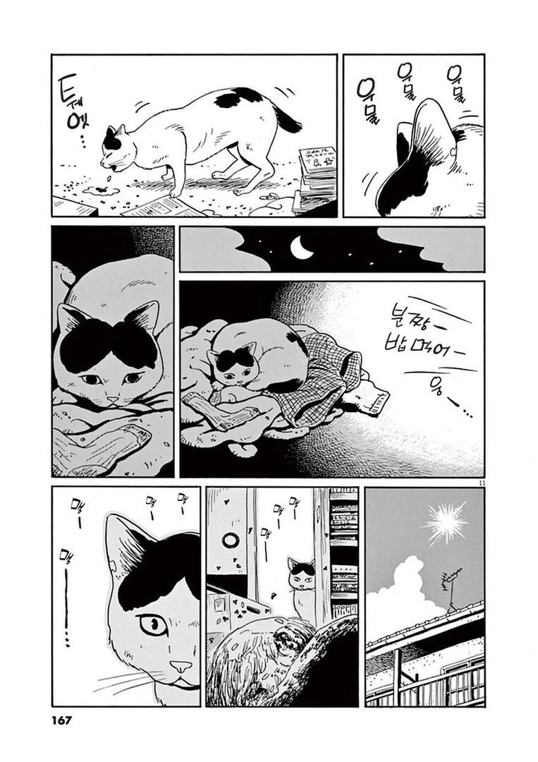 집고양이 분짱의 일년.manga - 이미지 11