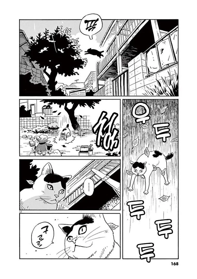 집고양이 분짱의 일년.manga - 이미지 12