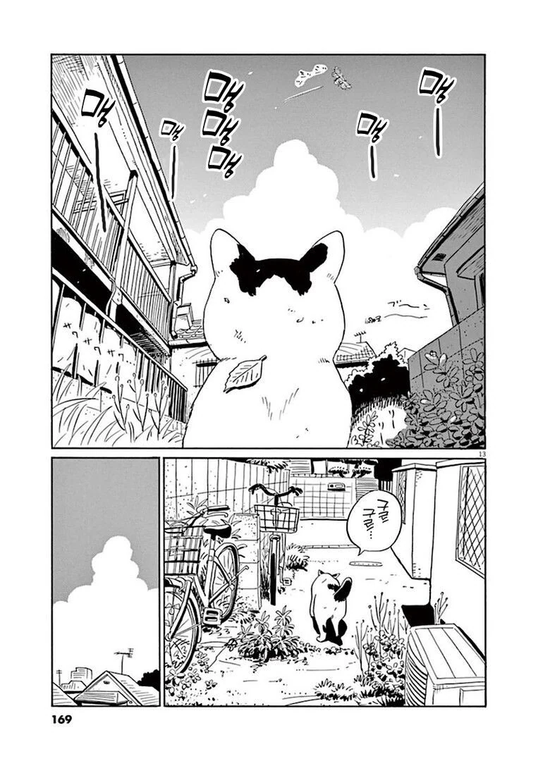 집고양이 분짱의 일년.manga - 이미지 13