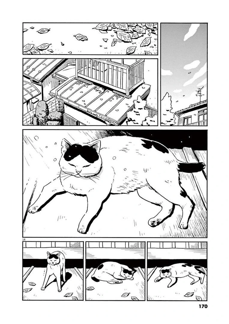 집고양이 분짱의 일년.manga - 이미지 14