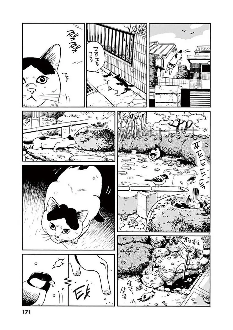 집고양이 분짱의 일년.manga - 이미지 15