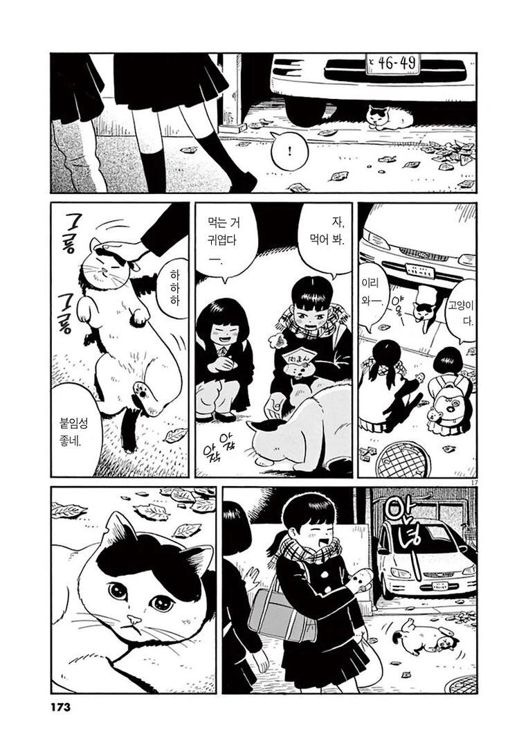 집고양이 분짱의 일년.manga - 이미지 17