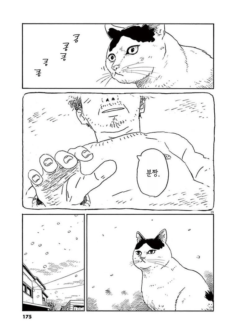 집고양이 분짱의 일년.manga - 이미지 19