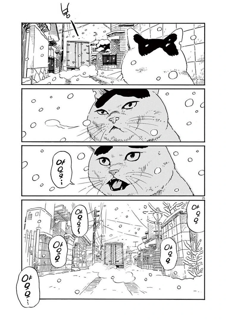 집고양이 분짱의 일년.manga - 이미지 25